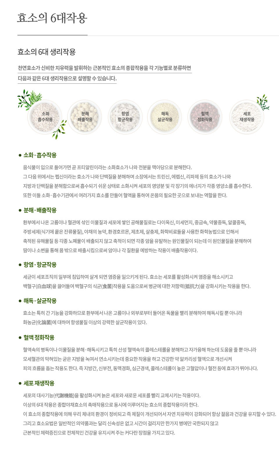 판크린바이오 갤러리 12